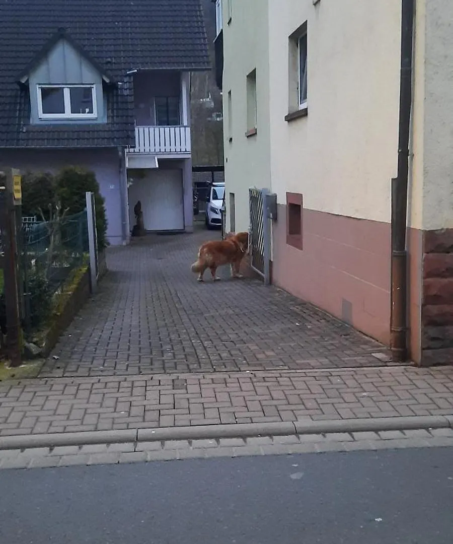 Holiday home Main Zu Hause Villa Eichenbuhl  Germany